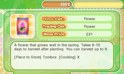 Story of Seasons toolbox.jpg